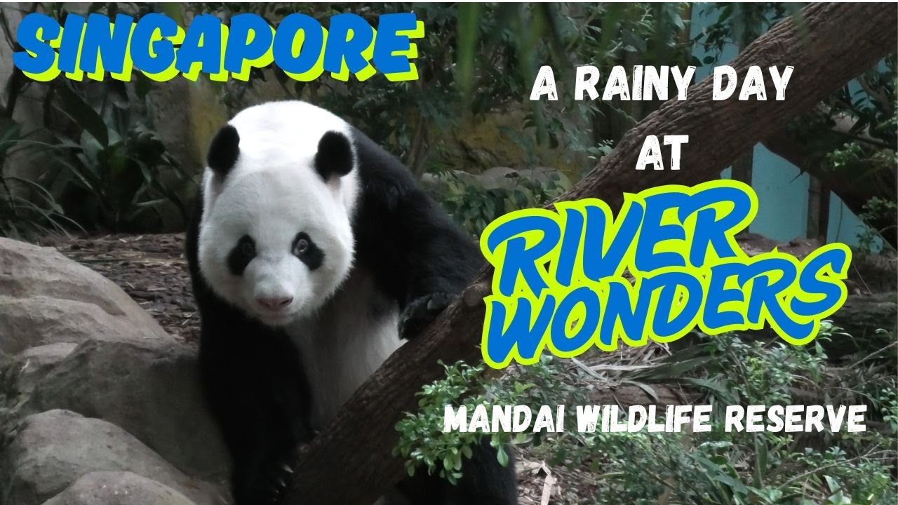 River Wonders Singapore 2025