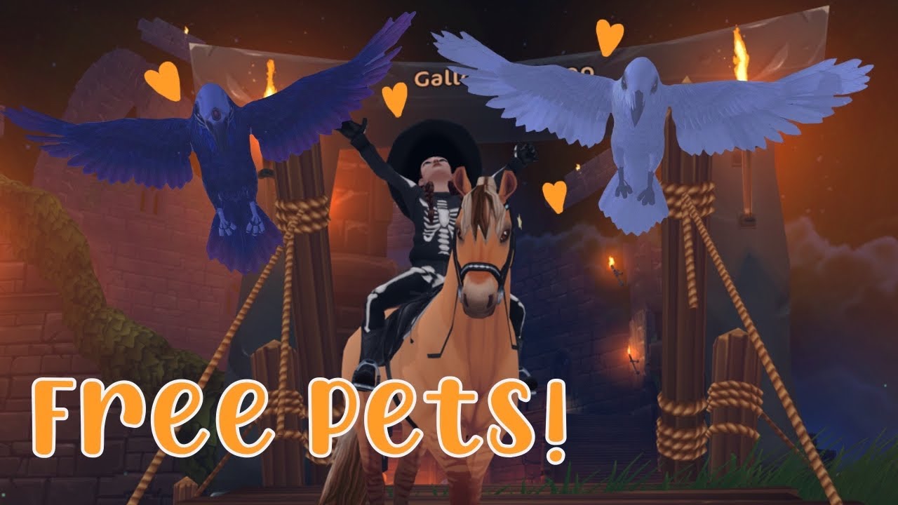 how to get the free raven pets | Star Stable Online