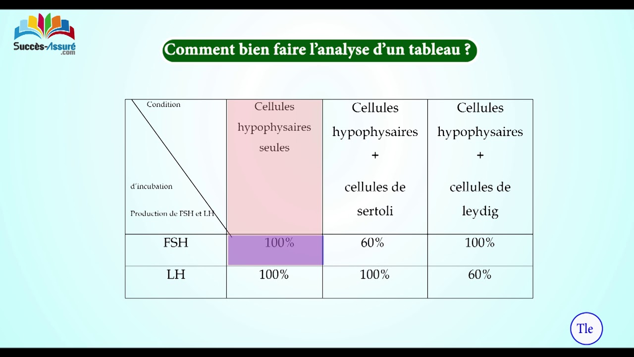 Comment bien faire l'analyse d'un tableau ?