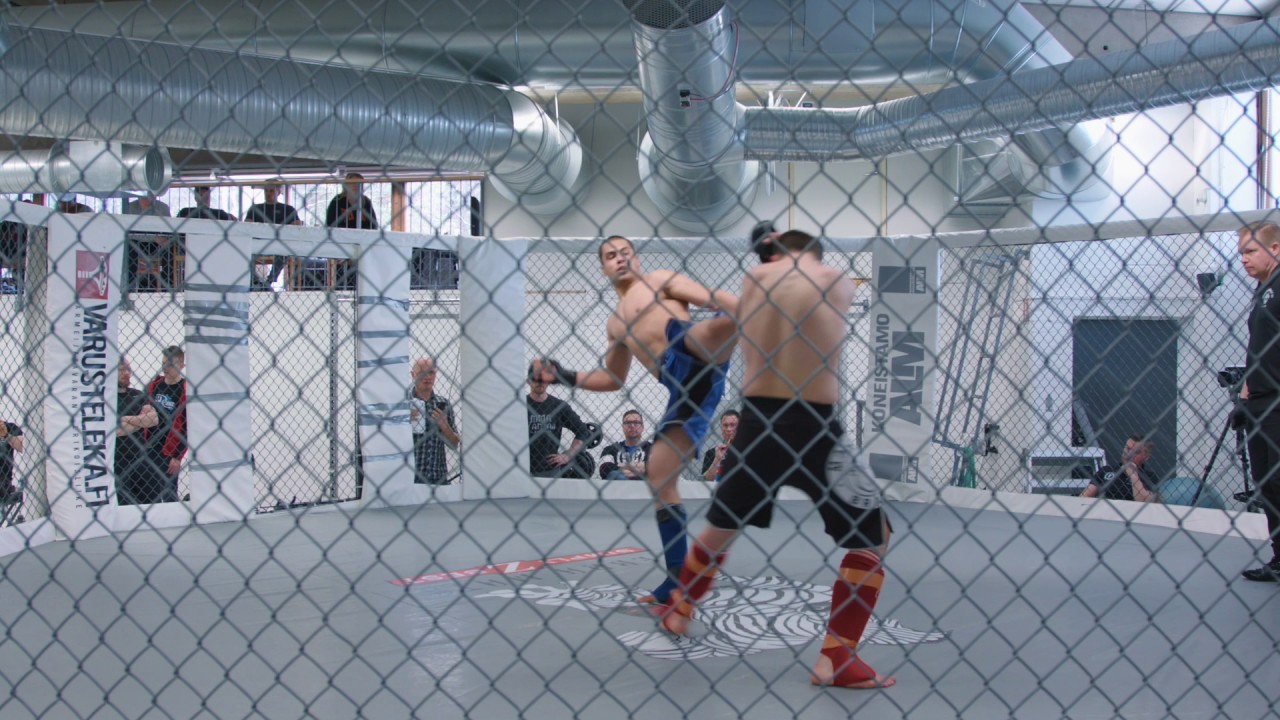 22.4.2017 MMA HardKnocks 17 . Male, C class, - 83.9 kg