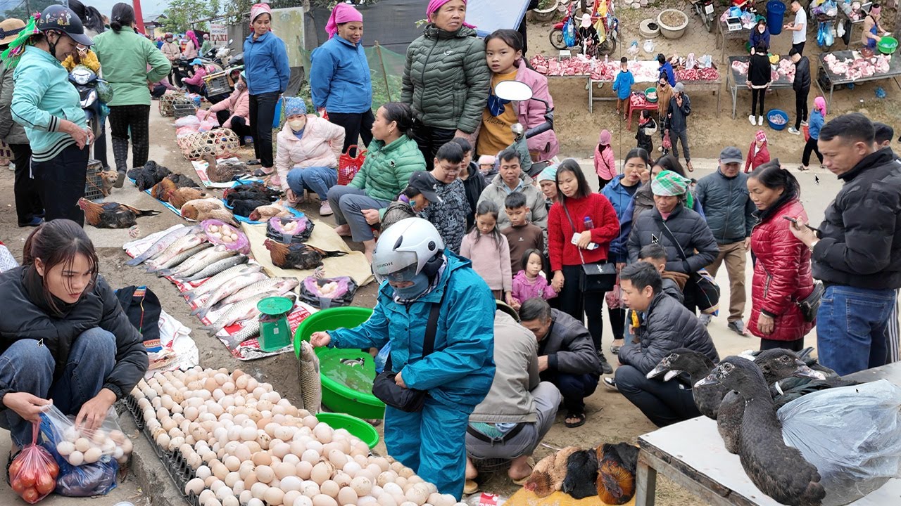 Chợ Phiên Vùng Cao Những Ngày Cuối Năm - Người Người Chen Lấn - Đồ Rừng Chất Như Núi