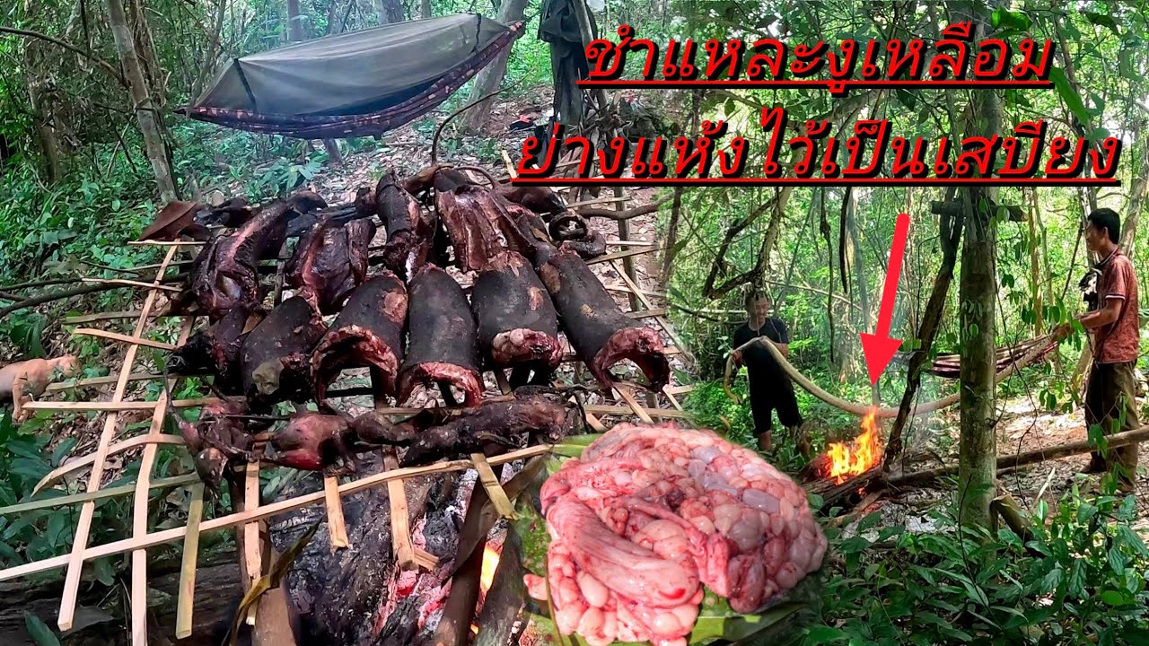 Ep5.ซอยจุ๊งูเหลือม/ຊອຍຈຸ໊ງູເຫຼືອມ