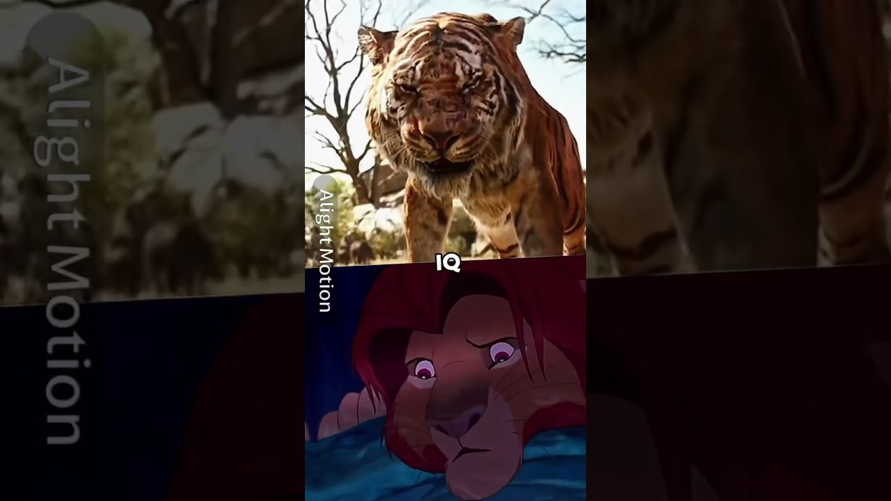 Simba (TLK2) vs Shere Khan (Live Action)