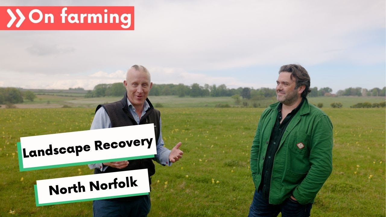 Landscape Recovery spotlight: North Norfolk: Wilder, Wetter, Better for Nature