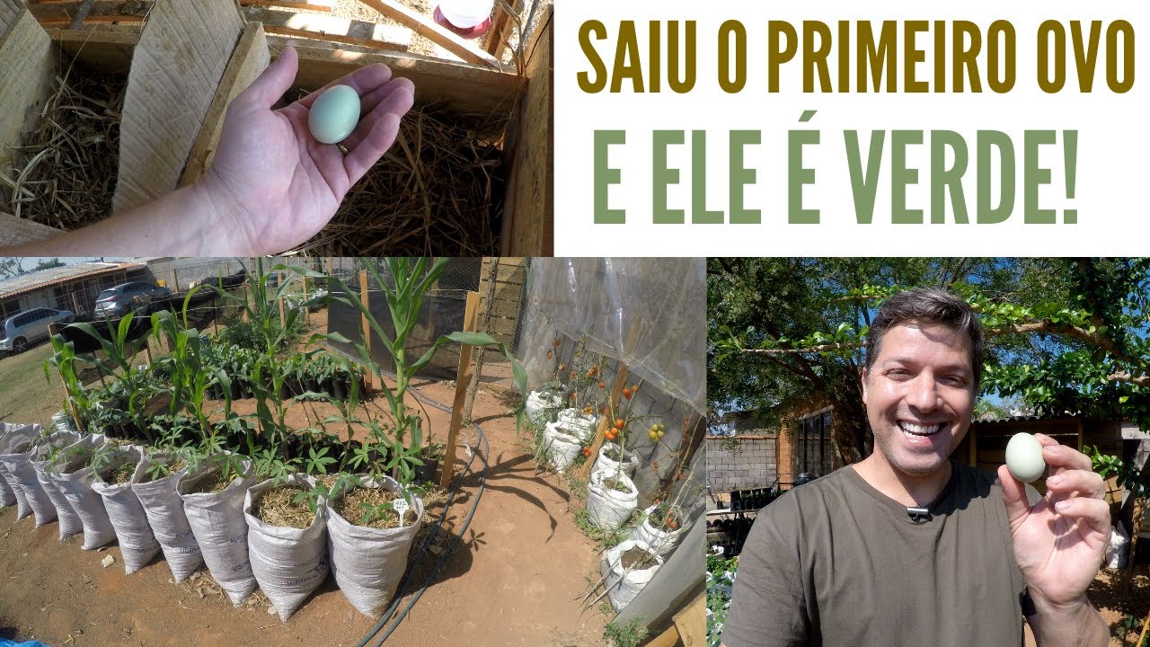 Já são Mais de 40 ítens na Horta do meu Sisteminha!