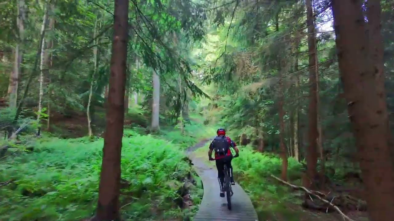 Singletrek pod Smrkiem