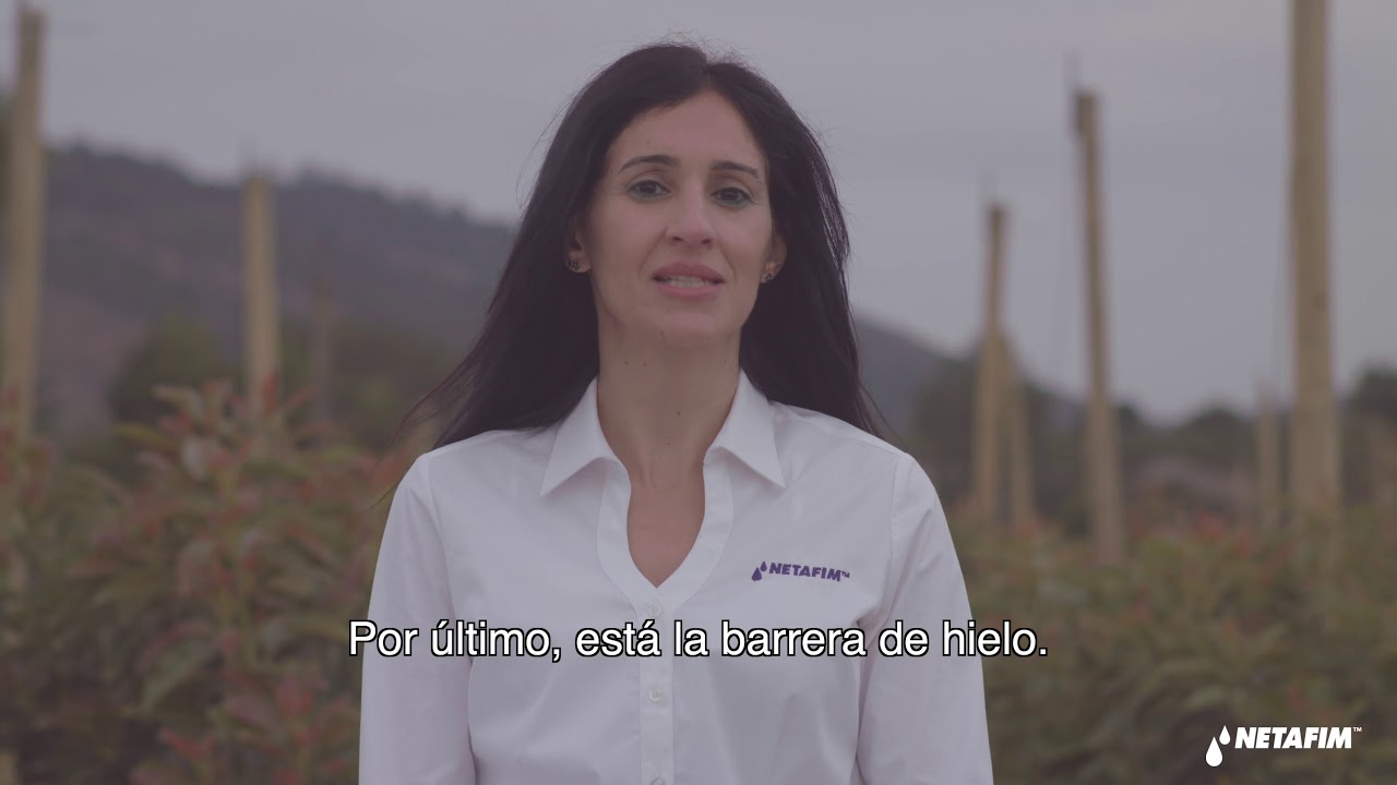 El agua en la protecci&oacute;n contra heladas en huertos agr&iacute;colas.