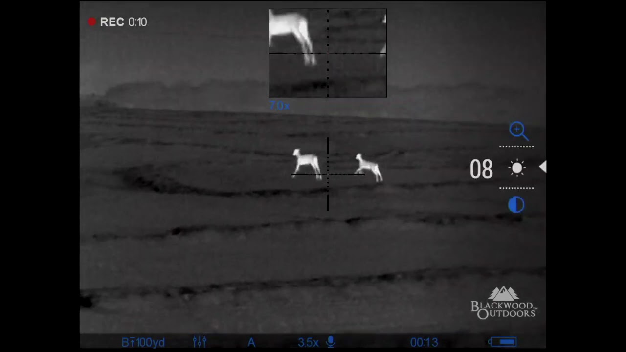 Pulsar Trail 2 XQ50 LRF - Random Footage