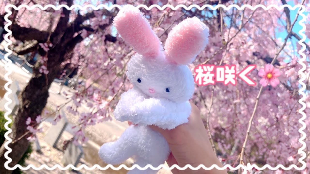 【新生活】桜を楽しむぬいぐるみ達！