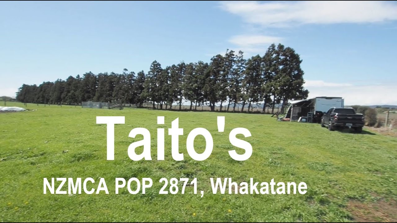 15. Taito's NZMCA POP 2871, Whakatane