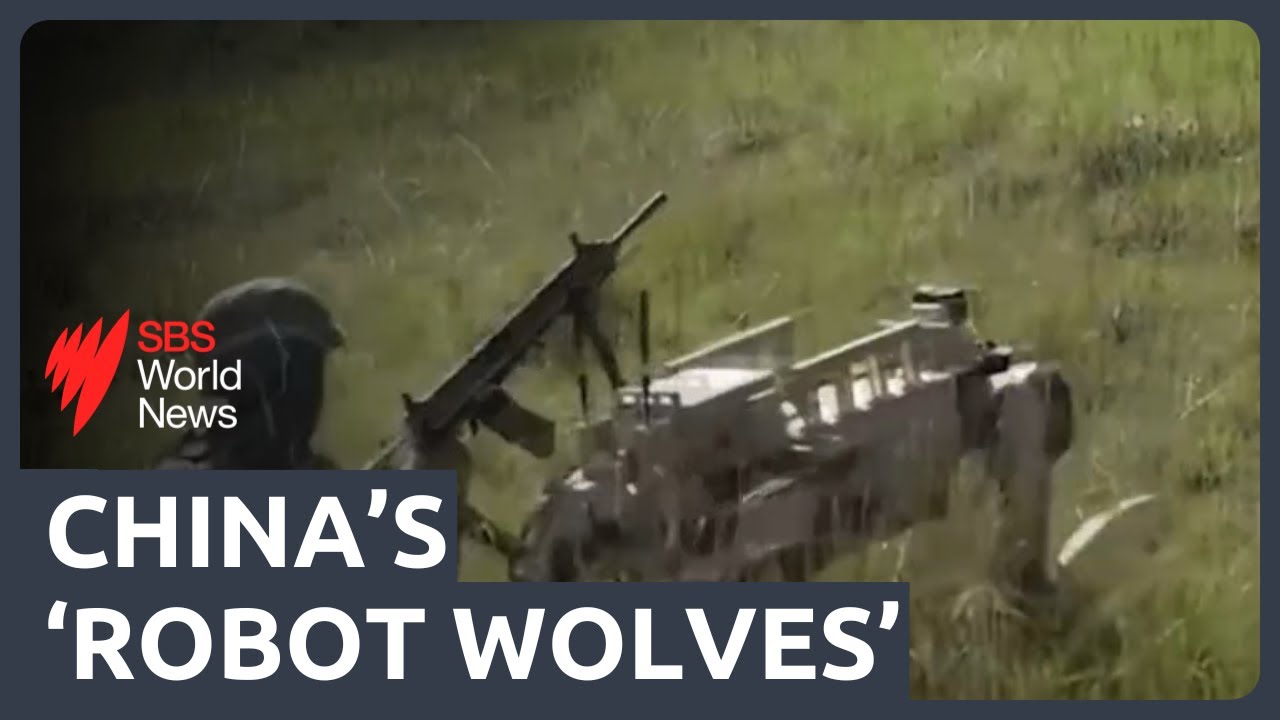 What are China’s ‘robot wolves’?