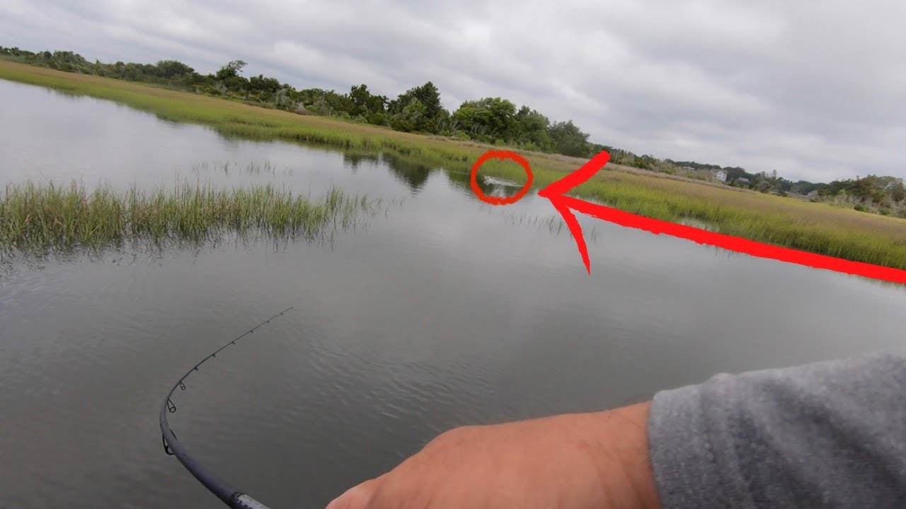 Catching Redfish on Topwater at High Tide (When, Where, How)