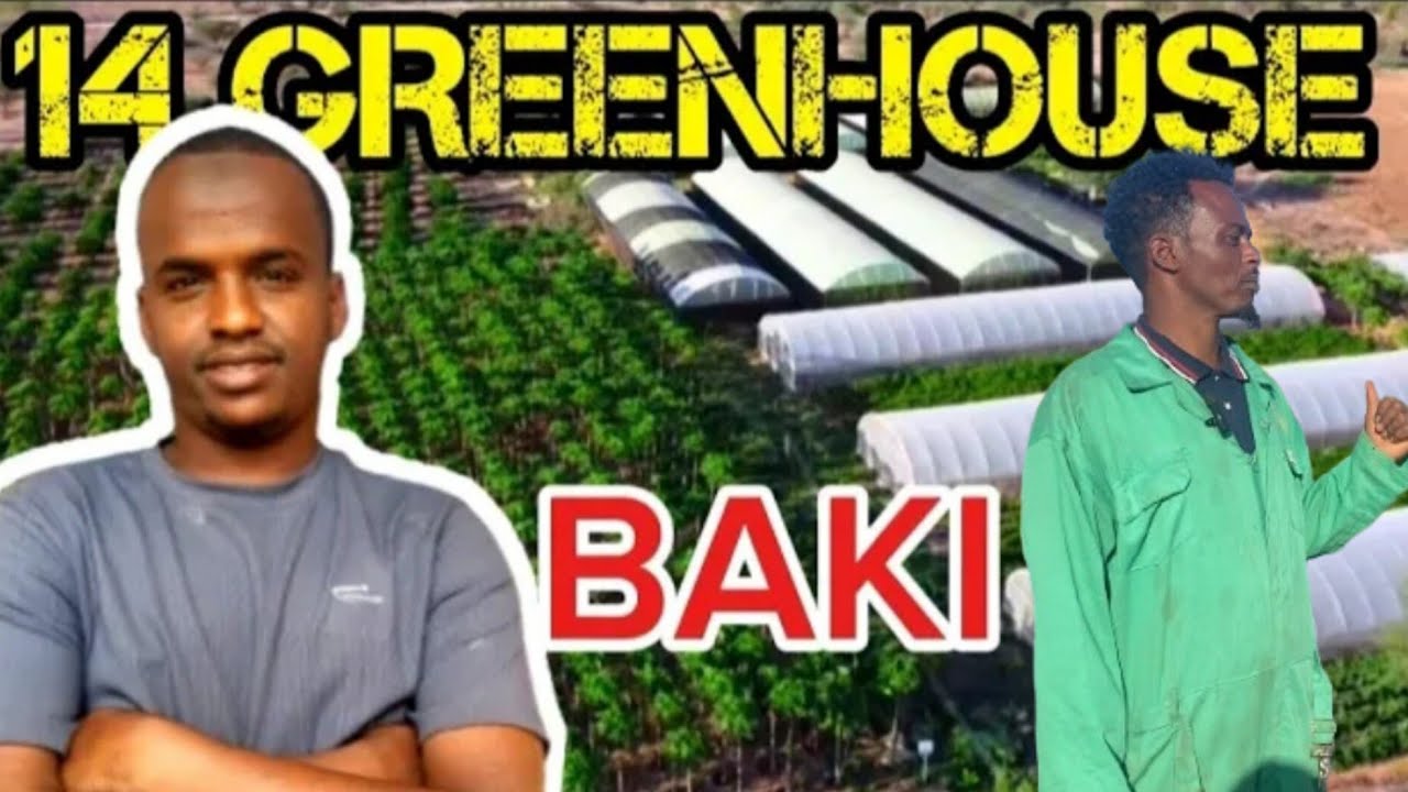 BUSTANADA BAKI | BEERTA WAXAY IGU DHIRIGALISAY INAN BEER YESHO !