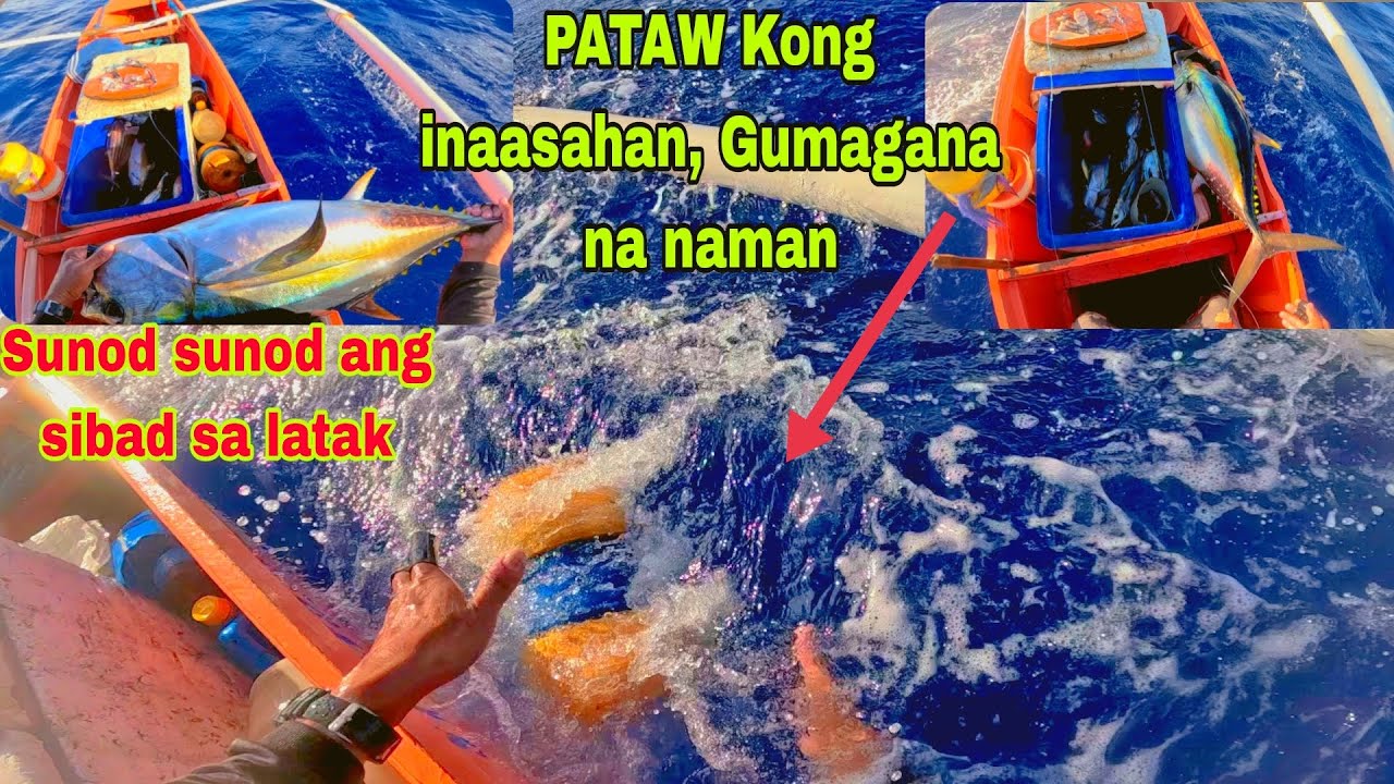 Part282 Pacific adventure| Pataw Kong inaasahan Gumagana na naman| Sunod sunod ang sibad sa latak