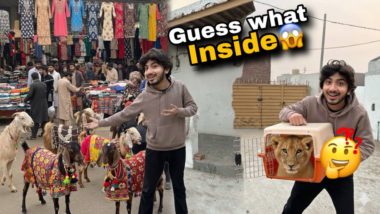 Kya Surprise Pet Aya ha?😱Goats ka liye Sunday Bazar Gae🥰🫀🩷😱