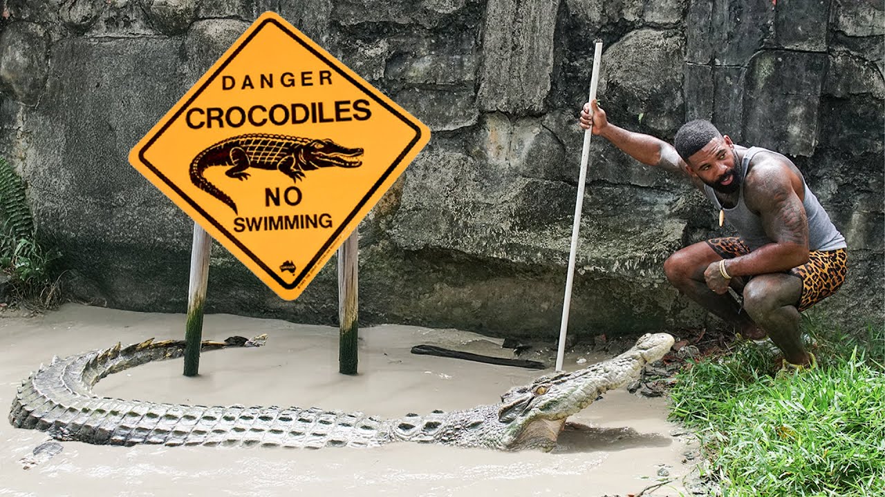 I found a MAN-EATING Crocodile in a backyard