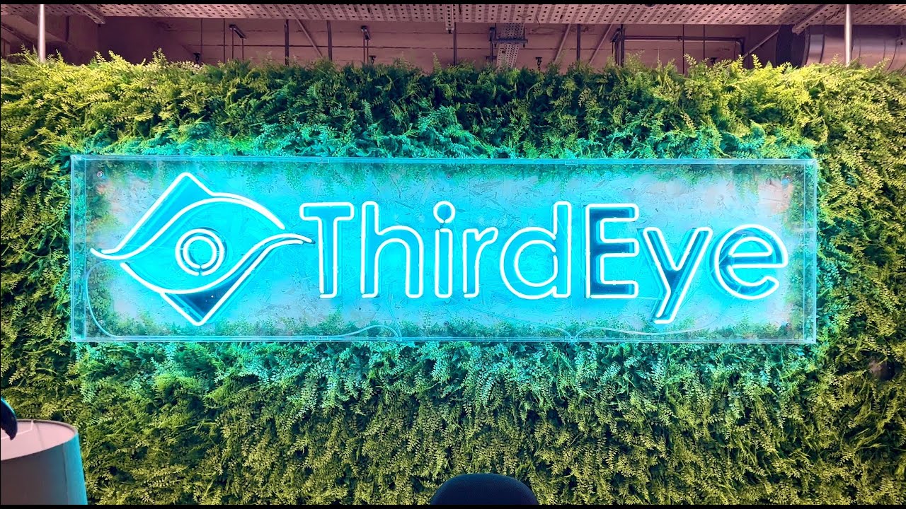 ThirdEye: Recruitment (2022)