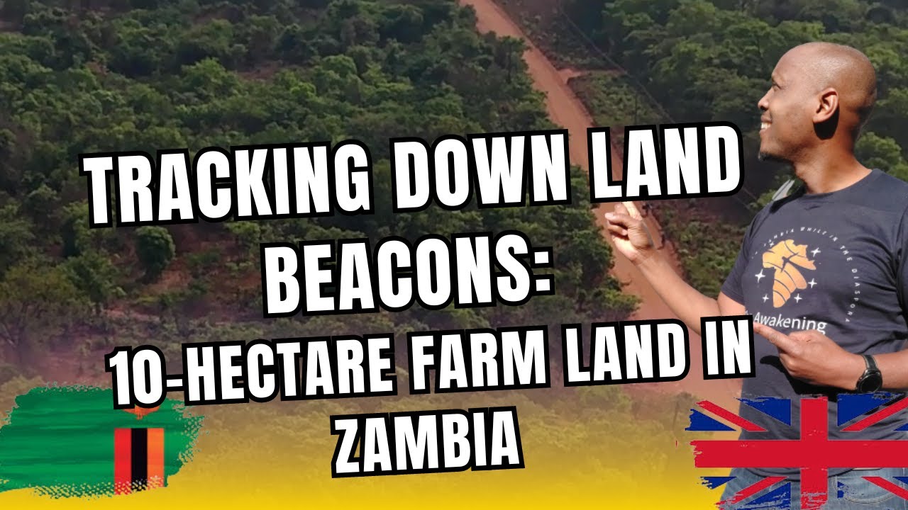 S 2 Ep 44 | Tracking Down Land Beacons on Our 10-Hectare Property -Zambia #offgridhomestead