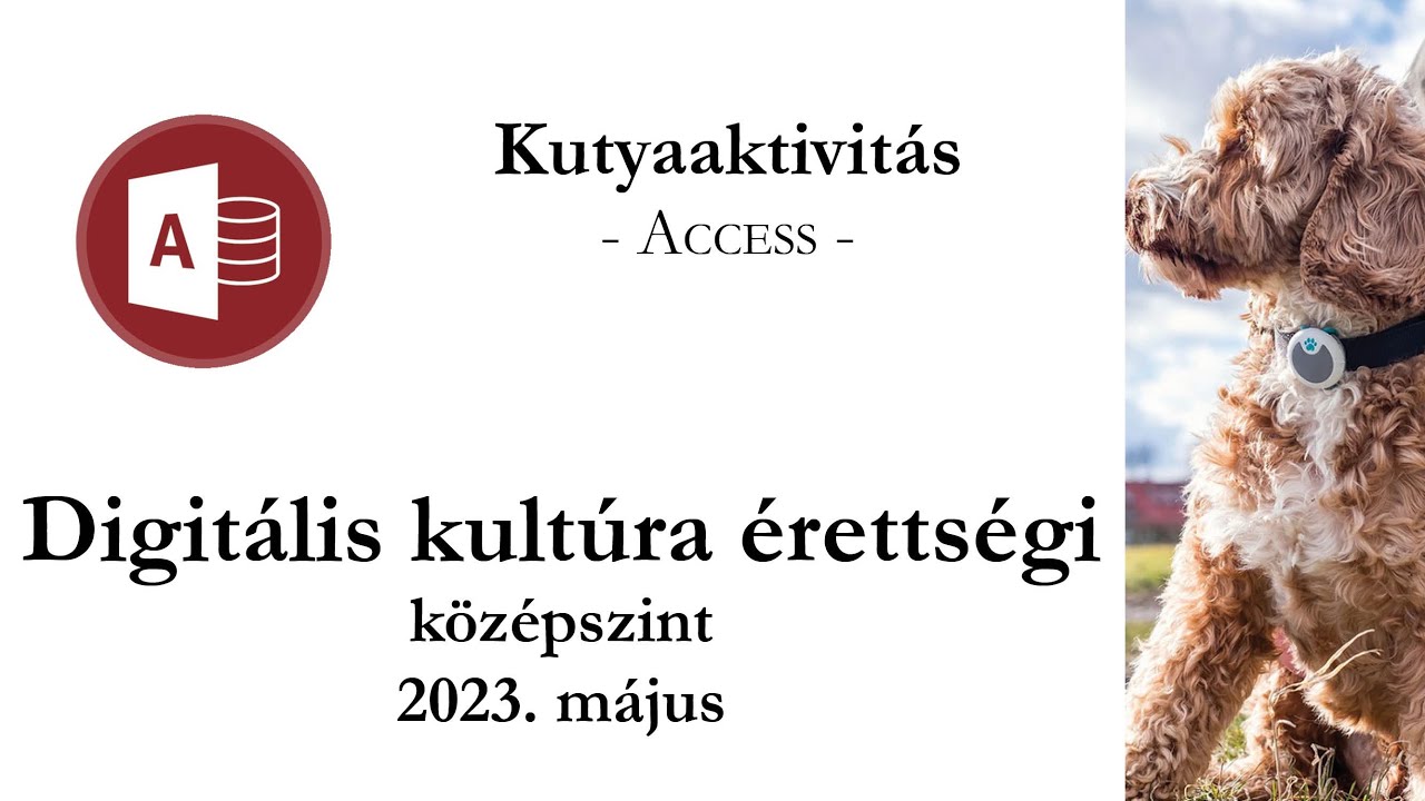 Kutyaaktivitás - 2023. május középszintű digitális kultúra érettségi: adatbázis-kezelés