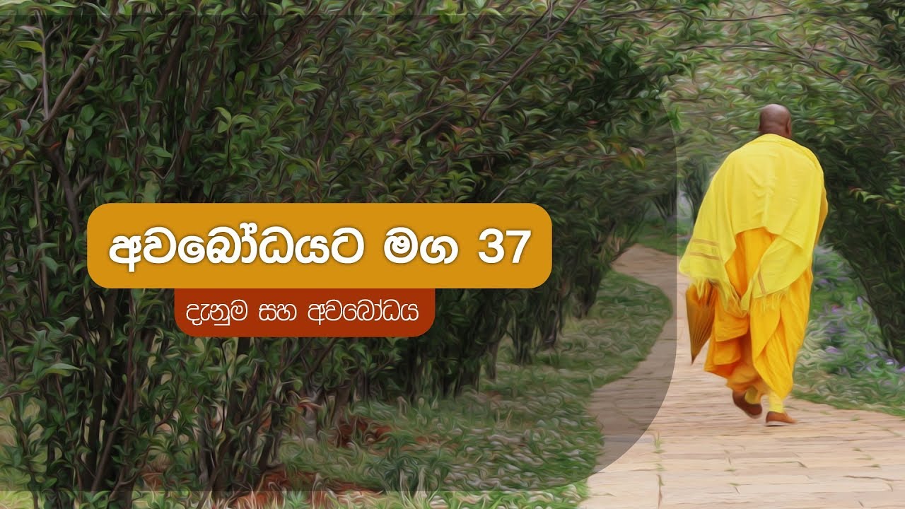 අවබෝධයට මග 37 | දැනුම සහ අවබෝධය