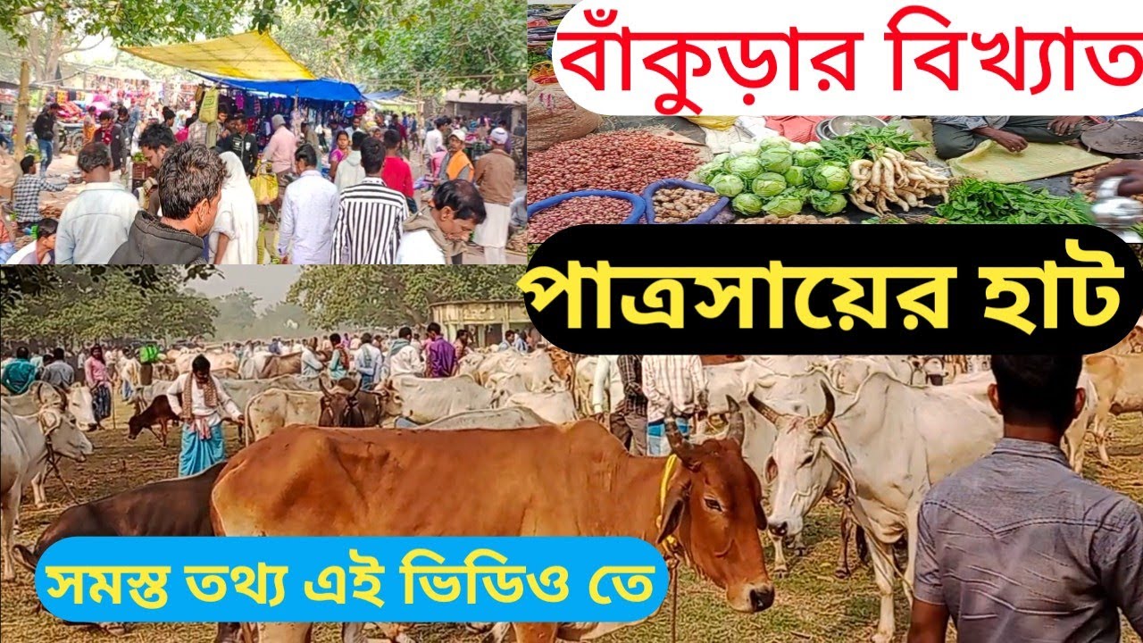 বাঁকুড়ার বিখ্যাত পাত্রসায়ের হাট | Bankura Top Market In Patrasayeer #hat #market #vlog #youtube