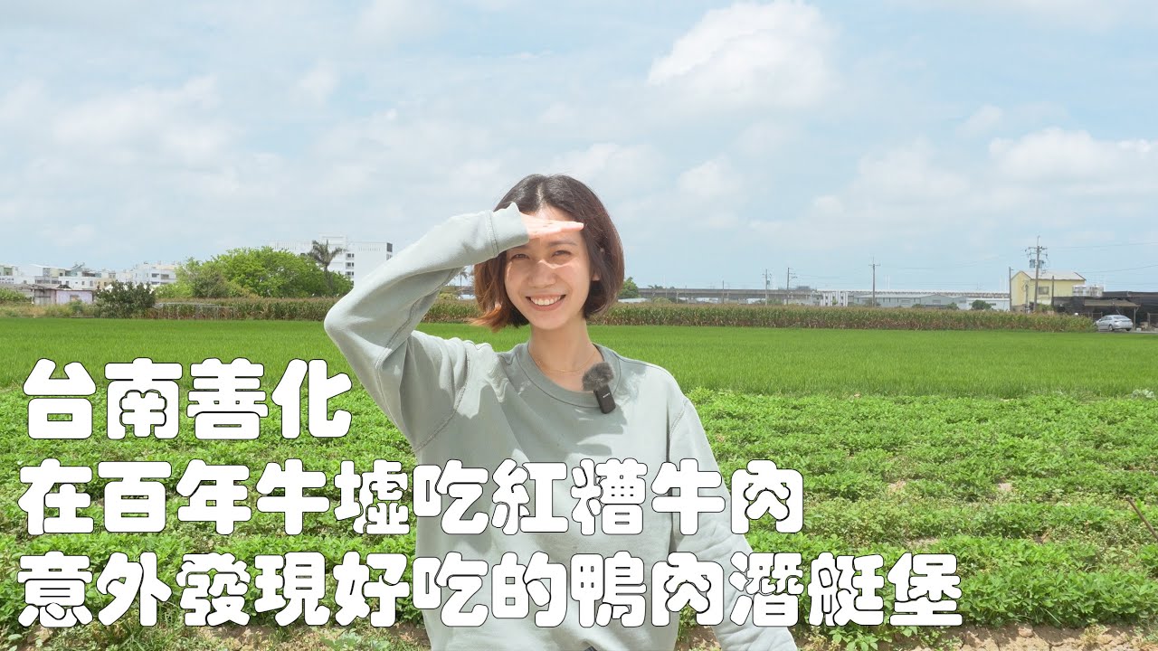 台灣小鎮來到台南善化｜在一個月僅開9天的百年牛墟吃紅糟牛肉，居然還發現了好吃的鴨肉堡🦆｜旺成牛肉｜善化牛墟｜福興號冰店｜一等涼冬瓜茶｜慶安宮｜沈光文｜台南旅遊｜台南美食