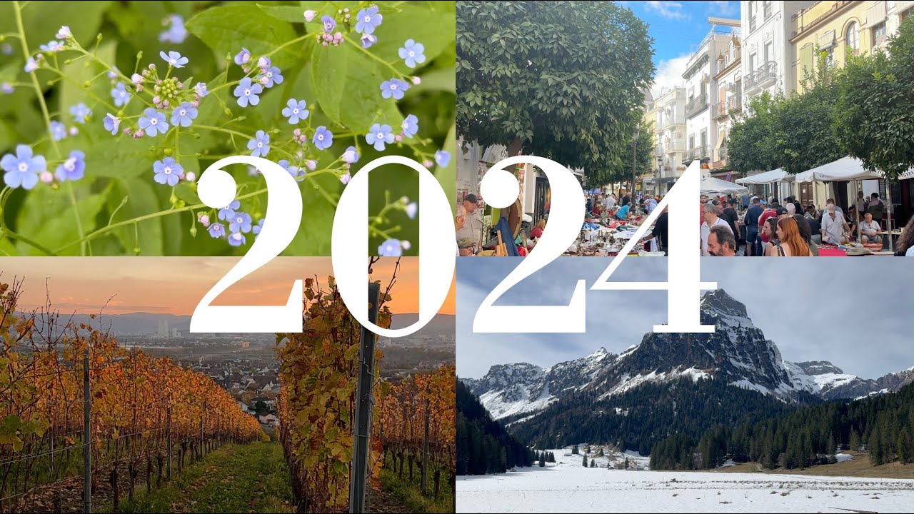 Mi diario visual | Un resumen de 2024