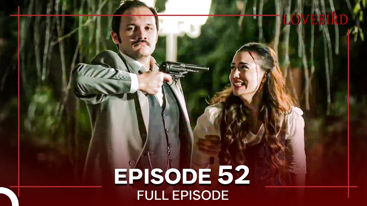Lovebird Episode 52