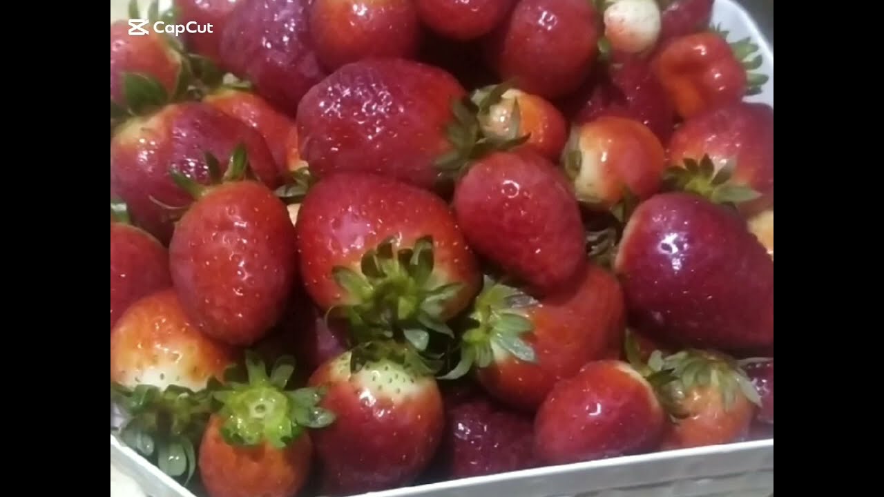 مربي الفراوله بكل تاكتها بسيطة وسهلة جدا 