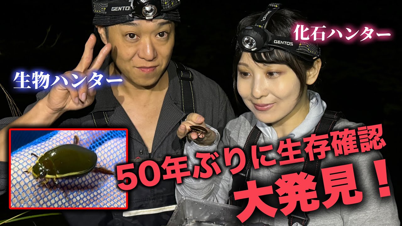ゲンゴロウを関西で調査したら大発見しました！【生物ハンター×化石ハンター】