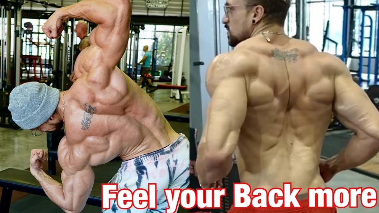 Finally understand BACK TRAINING
