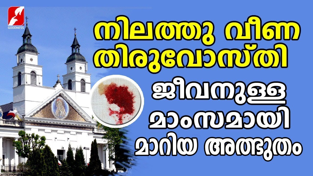 നിലത്തു വീണ തിരുവോസ്തി ജീവനുള്ള മാംസമായി മാറിയപ്പോൾ| The Eucharistic miracle of Sokolka| Church News