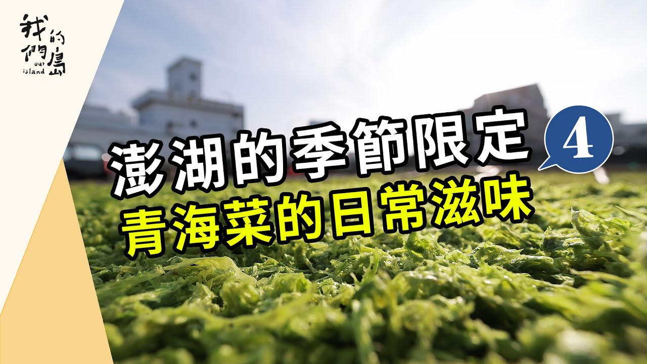 澎湖的季節限定｜系列四 ：青海菜的日常滋味(我們的島第1208集 2023-06-12)