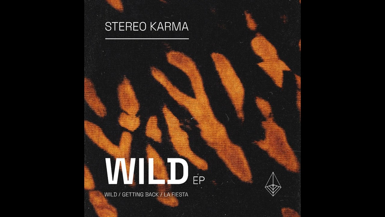 02 - Stereo Karma - Getting Back