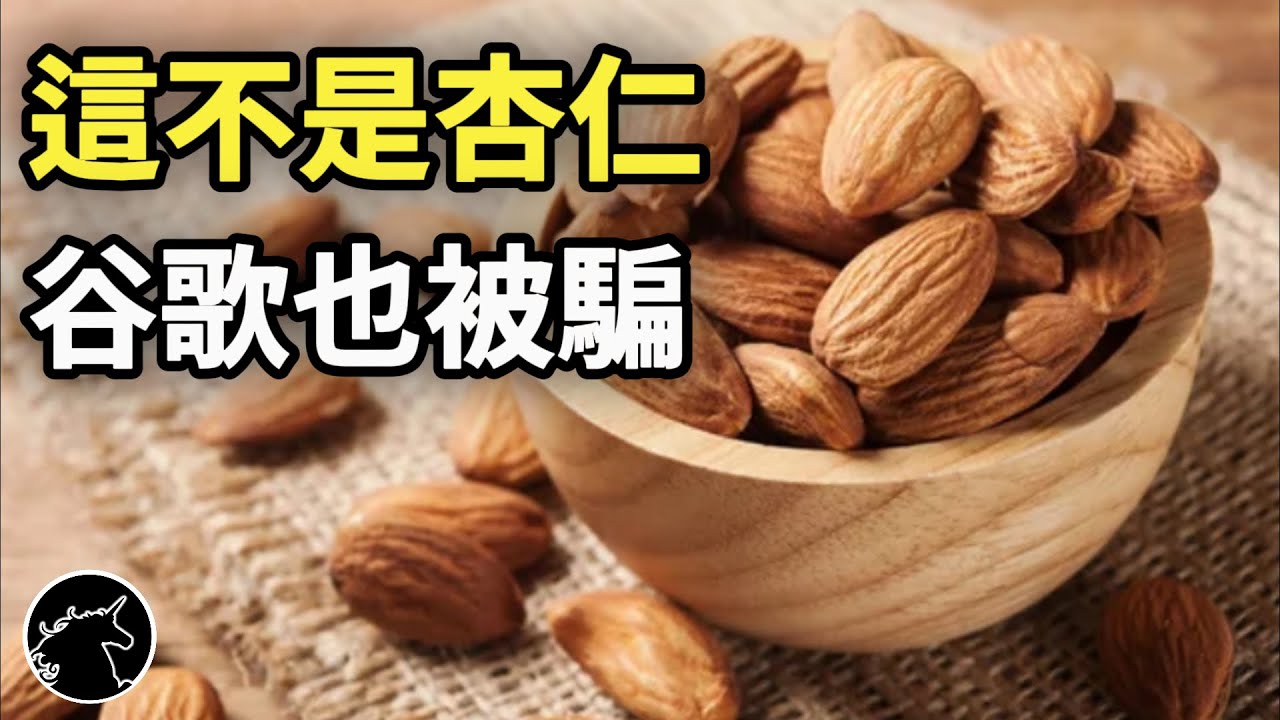 連Google都被騙! 這些東西都不是杏仁! 快看看你買的杏仁飲是真的嗎? 杏仁果 杏仁堅果 杏仁粉 杏仁奶 杏仁茶 杏仁豆腐
