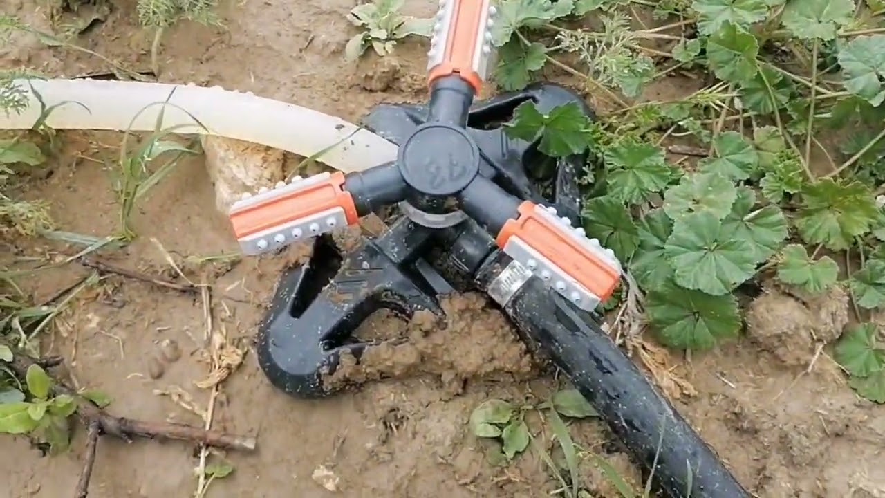 Kovrakni yomg‘irlatib sug‘orish (Sprinkler)- Коврак суғориш 2023.17.04