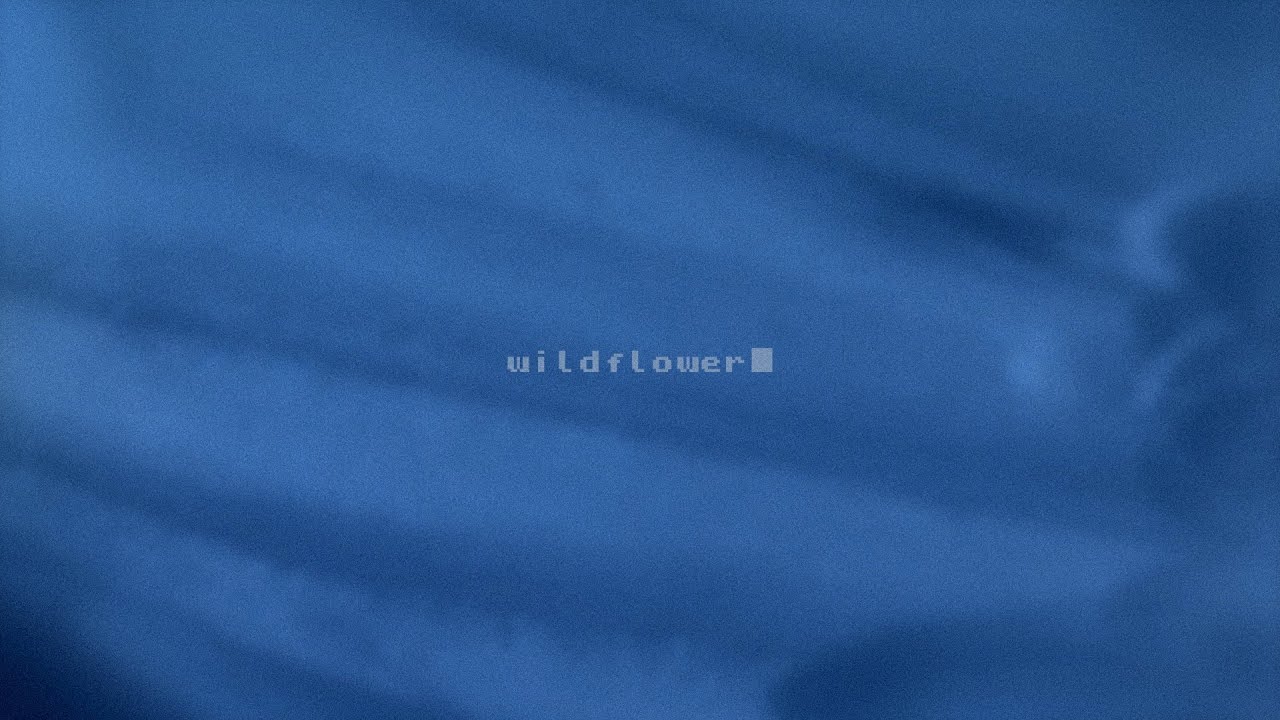 Skywalk - Wildflower