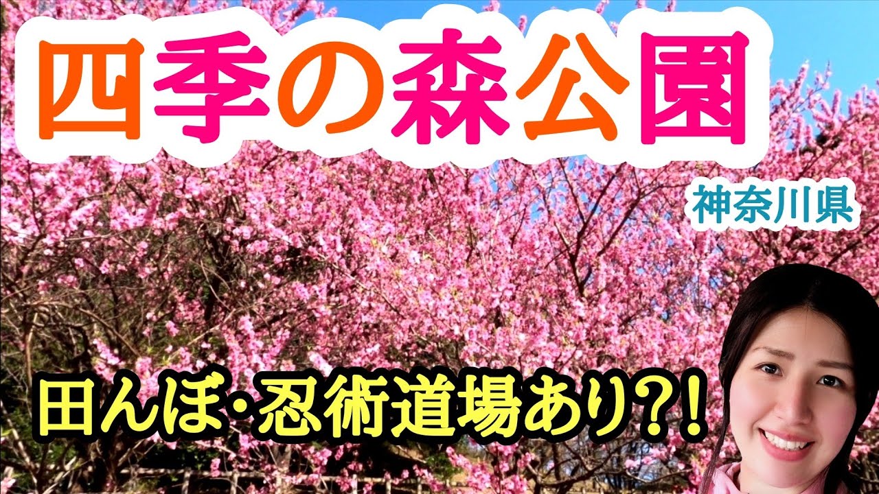【おすすめ】四季の森公園【神奈川県】