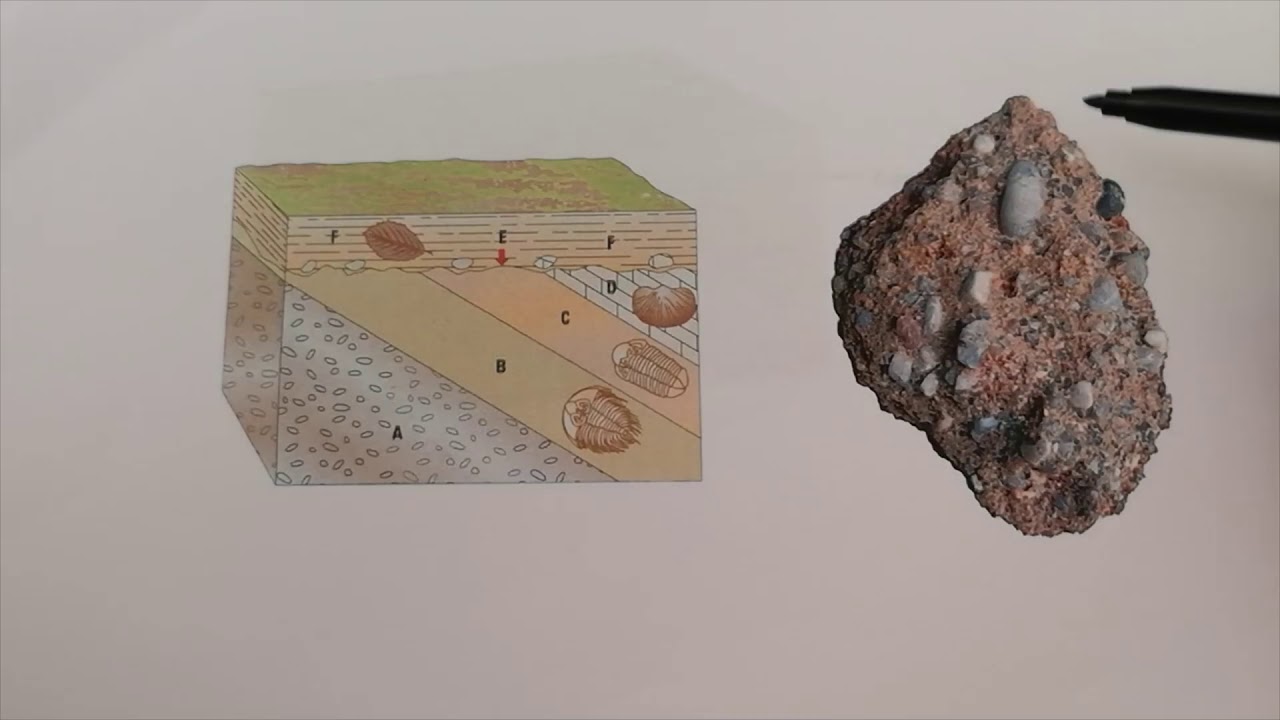 Estratigrafia E@D