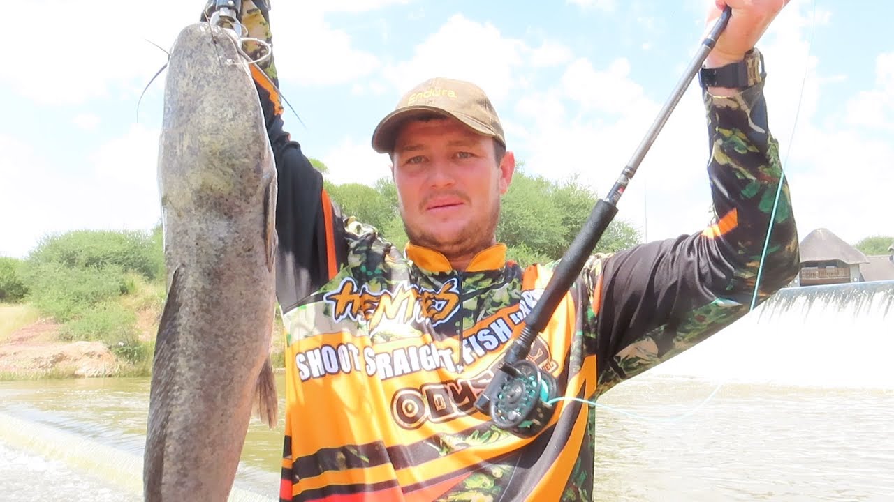 fly fishing for {{{CATFISH}}}