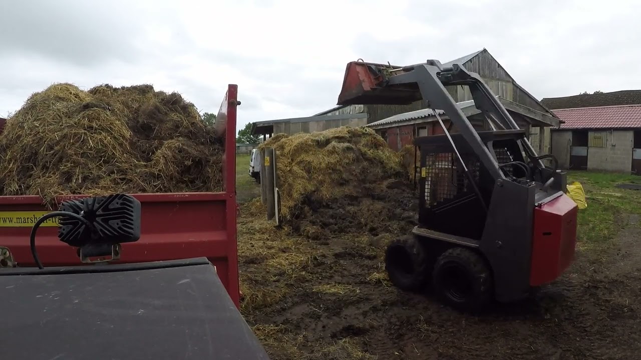 First Skid steer job mucking out