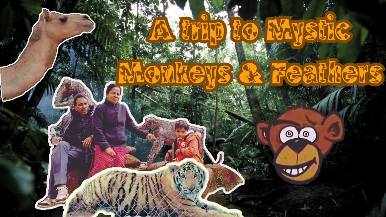 A Trip to Mystic Monkeys & Feathers