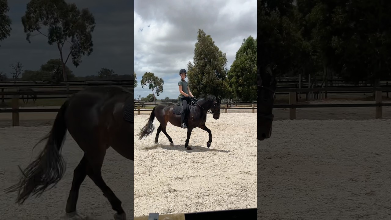 My power pony Diva in training today! She’s so cool 💫💖 