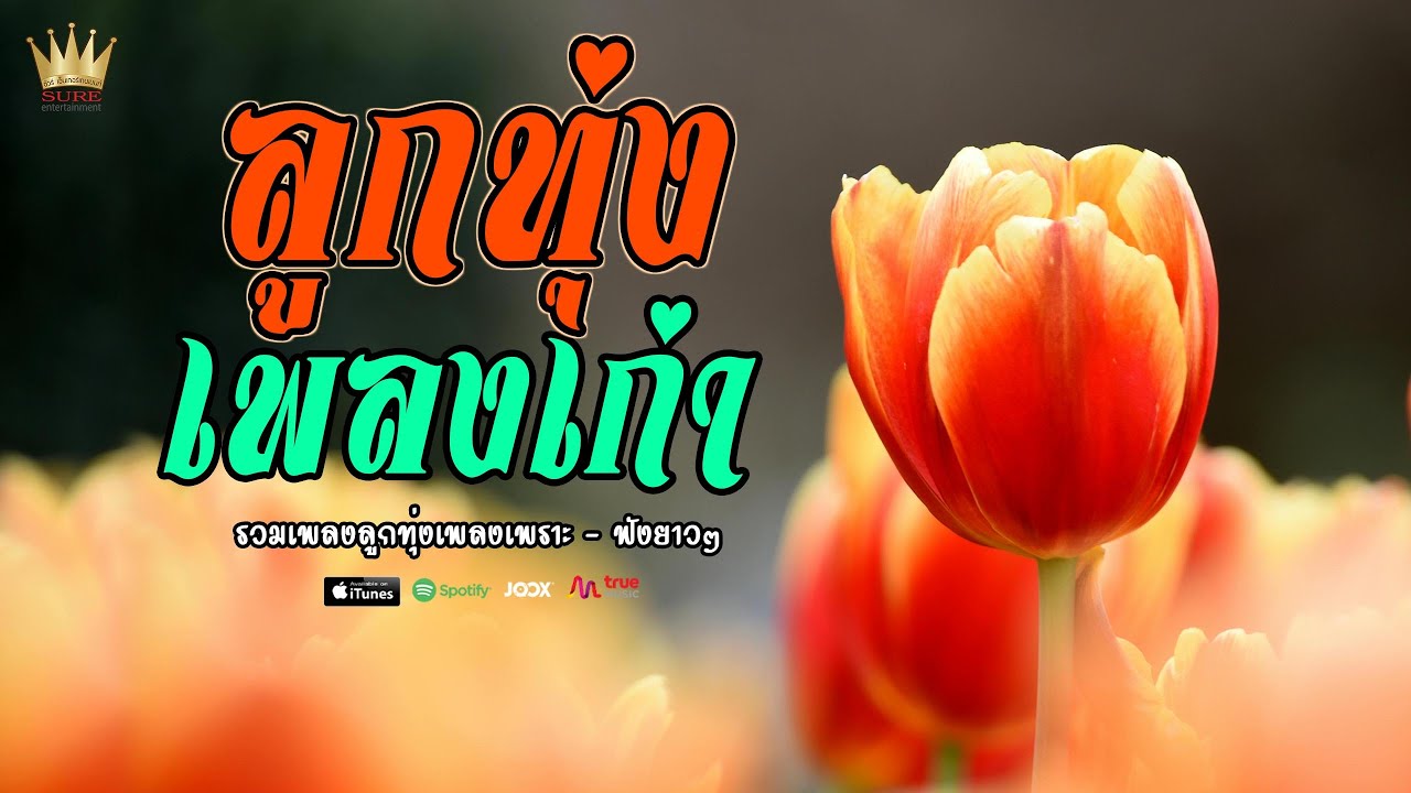 ลูกทุ่งเพลงเก่า - รวมเพลงลูกทุ่งเพลงเพราะเก่า ฟังยาวๆ
