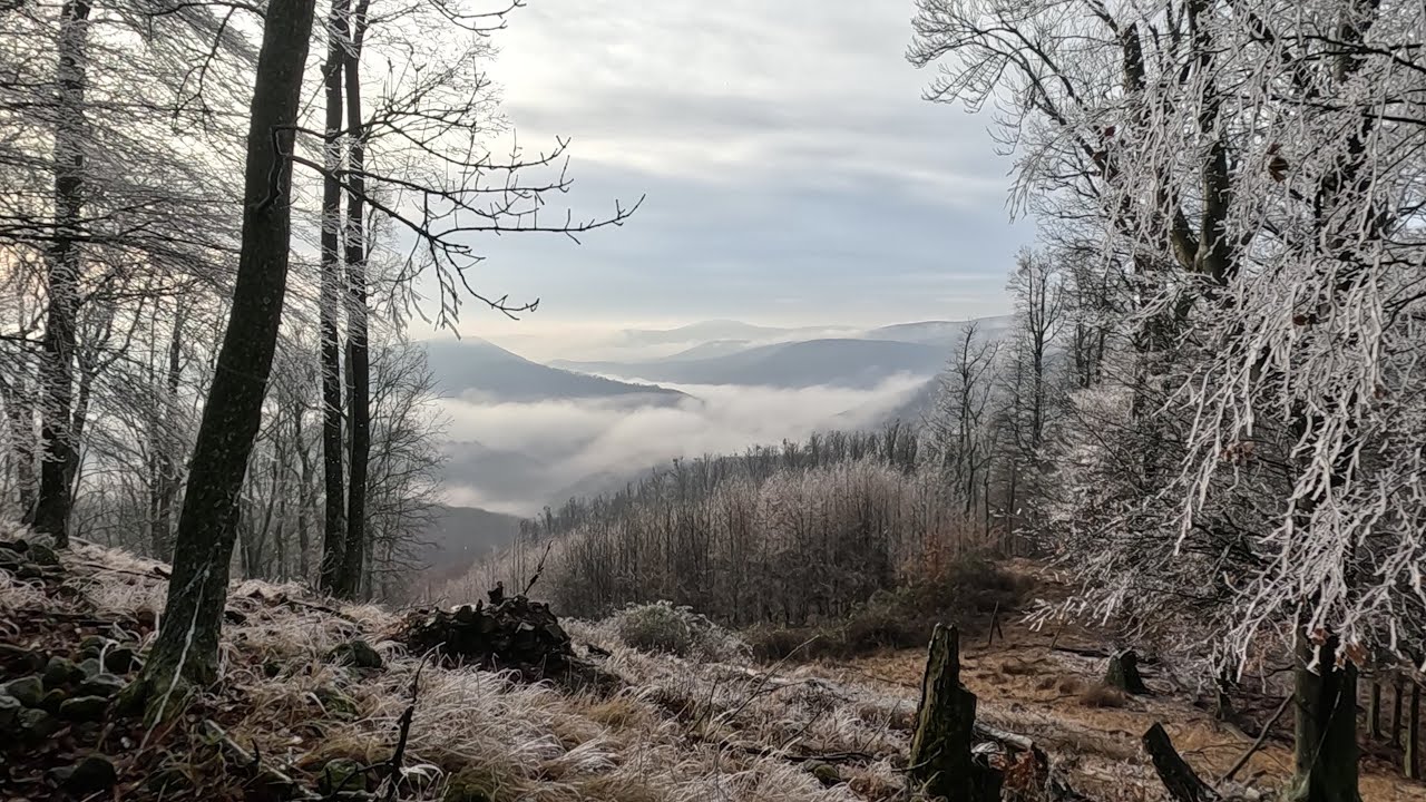 Heti egy kötelező. Mi van ott? Megnéztem