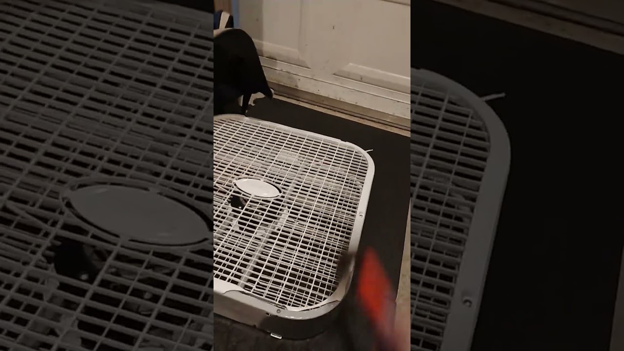 Dead 2012 - 13 Lasko 3733 Smash #jeffy #destruction #boxfan #broken #fan