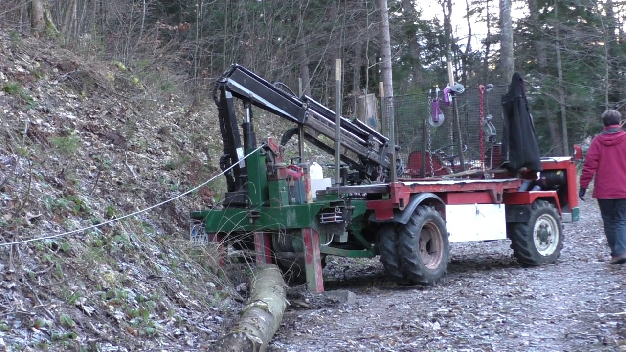Reform Muli im Holzeinsatz