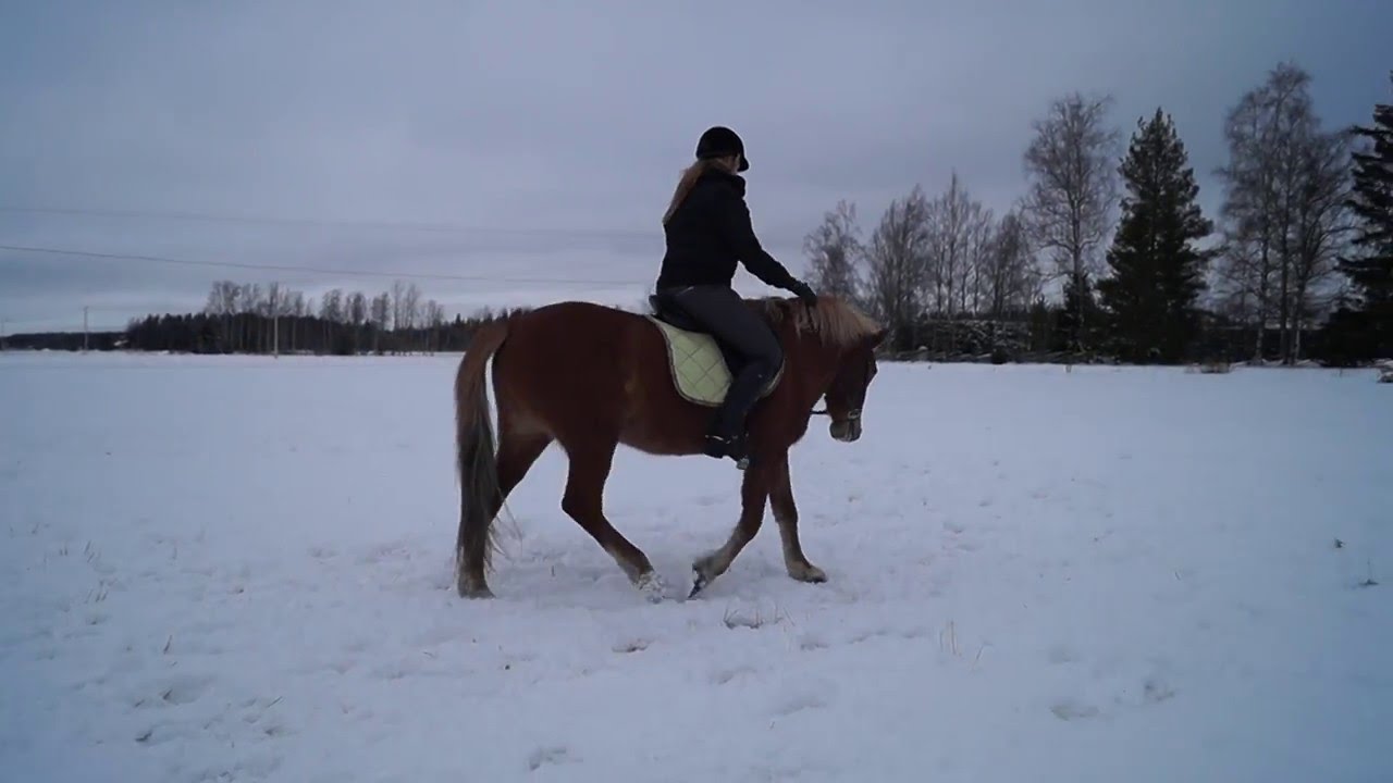 R.T. Rapsakka - Harrasteluokan kouluohjelma 2009