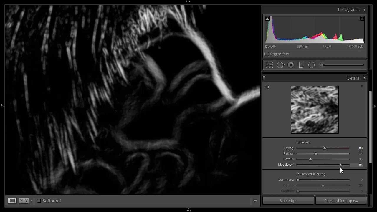 Mehr Brillanz in den Details: Optimale Scharfzeichnung | Lightroom 6 und CC – Das Profi-Training