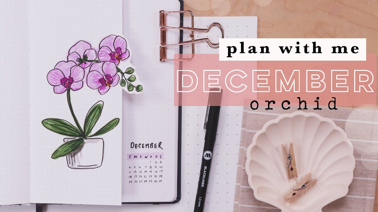 Plan With Me | December 2022 Bullet Journal ORCHID